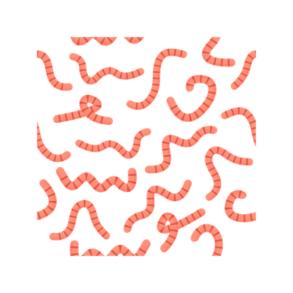 Helminthiasis (infeksi cacing)
