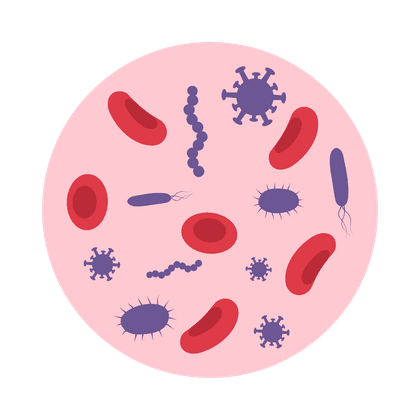 Staphylococcus aureus (hemolitik)