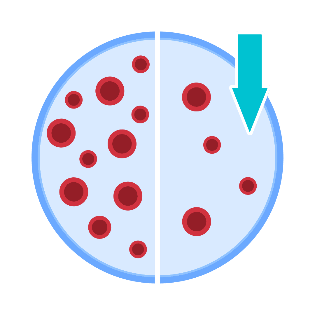 Anemia (Kekurangan Zat Besi)